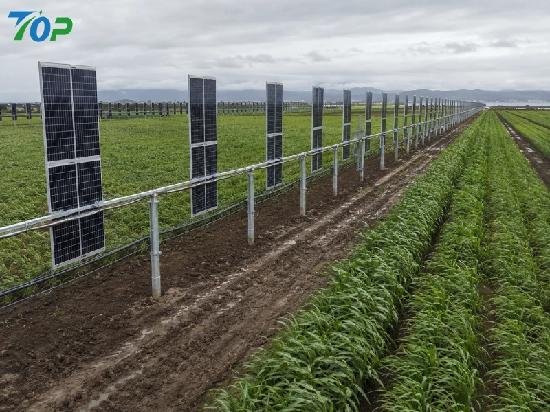 Large-scale vertical bifacial solar system installed in open agricultural farmland with wind-resistant galvanized steel mounting structures and ground screw foundations.